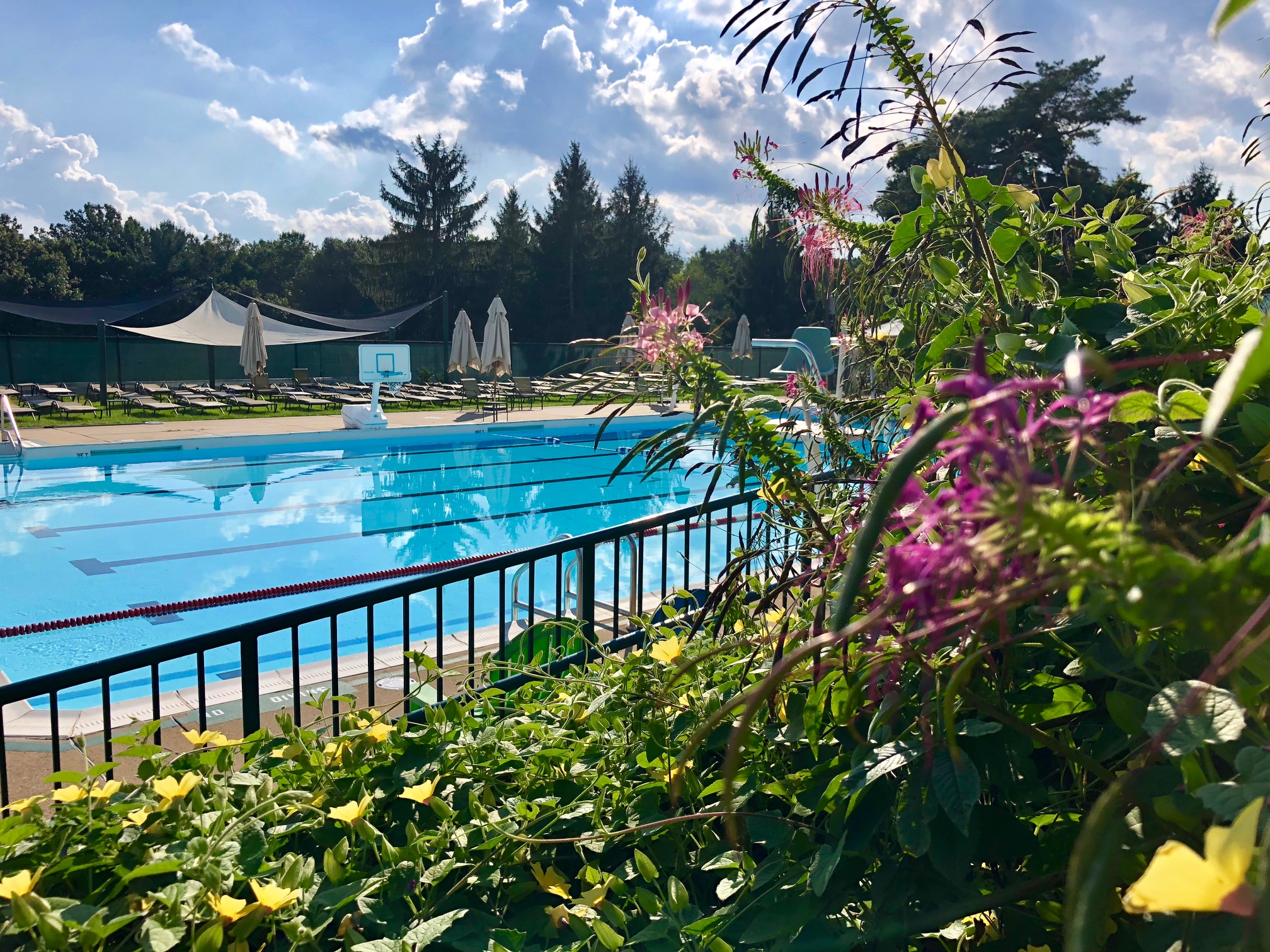 Swimming Pool - Shannopin Country Club